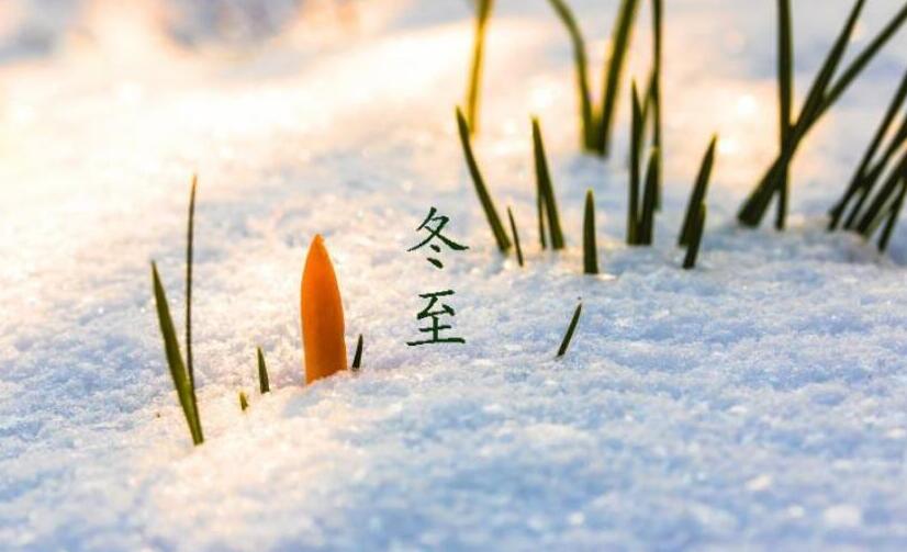 今日冬至|向陽而生，美好如期